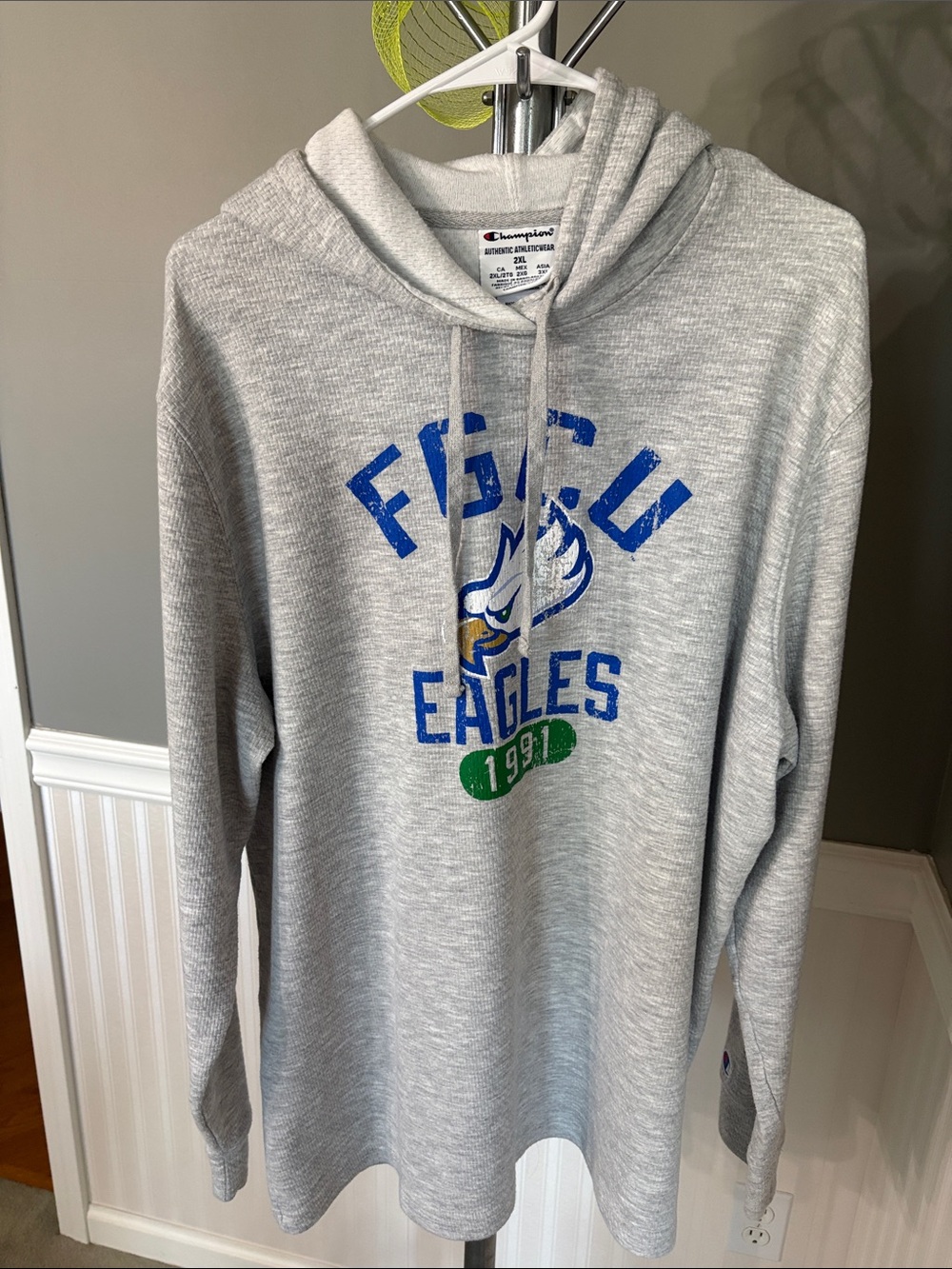 Champion Gray FISCU Eagles Hoodie with Blue & Green Logo
